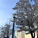 (주)프렌즈아카데미광교 이미지