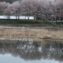 웅희농장 이미지