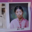 자연스튜디오 티스토리