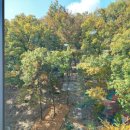 보눔 유치원 이미지