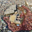 죽전(竹田) 대나무꽃 만발 스토리 이미지