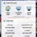 속초 리조트 농협생명 설악수련원 설악산 마운틴뷰 45평형