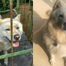 IC종합카센타 이미지