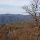 덕상1리마을회관 네이버블로그