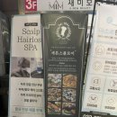 코아 플로어 이미지