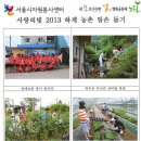 중계2.3동주민센터 Daum카페