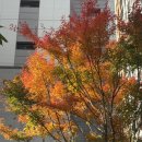 화정봄약국 이미지