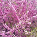 사창동사창경로당 이미지