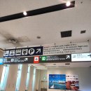 오박사 | 오키나와 렌터카 한국인 운영 공항픽업 오박사 BB렌트카 예약후기