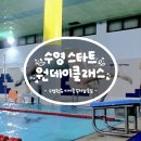 홍시약국 | 수영원츄 2월 수영 크라우칭 스타트 기초 원데이클래스 특강 후기