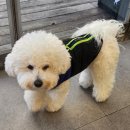 씨유속초영랑호수점 이미지