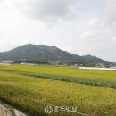 홍성읍 소향2리마을회관 | 99암자가 있었다는 용봉산, 쥐산이 명당인 하산마을