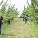 강학1리 이미지