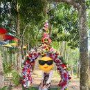 동막골캠프 | 코타키나발루 여행 | 코타키나발루 반딧불 투어 추천! 봉가완 동막골 투어 준비물과 후기