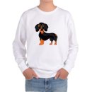 허쉬퍼피 이미지