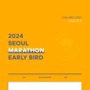 2024 서울마라톤 접수(2024 동마) 이미지