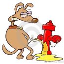 킴리동물병원 이미지