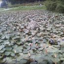 서동공원 이미지