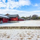 [서울]창경궁의 겨울 이미지