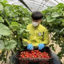 이재권농장 이미지