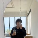 신지 황칠나무 가로수 | 완도 신지 카페 ROUTE66
