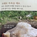 자연전집 이미지