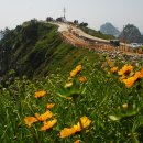 ♪ [동요] 어린이 노래 모음 이미지