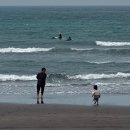 카페 러브유 | 통일가든•와흘리메밀밭•점점•닭머르•픽업카페•유콜잇러브•일통이반•빵귿•꼬신김밥•돈물국수...