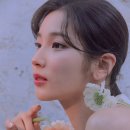 앨리스 핏 이미지