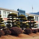 나포중학교 이미지