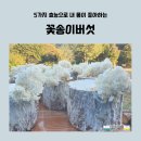 영미트 - 광주시 밭말길 72-1 | 영미트