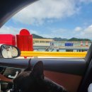 모니카애견 | 배타고 제주도 진도항 산타모니카호 애견동반 펫프리미엄존 최고!