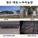 대곡농장 이미지