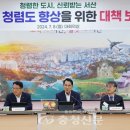 향상 이미지