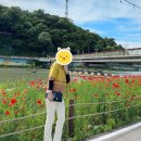(66) 페라가모 지니백 미니 여친돈여친산 후기