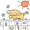 최선돈카츠 이미지