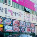 땅끝뻘낙지