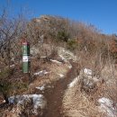 밤나무골샘물 이미지