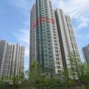 지축중학교 이미지