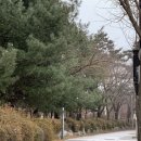 아마레음악학원 네이버블로그