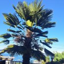 보라펜션 이미지