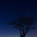 돌담하우스(민박) 이미지