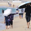 36 이미지