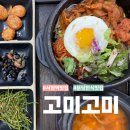 중앙공원로31번길 | 분당 서현역 한정식 맛집 건강한 식당 고미고미