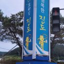 진도개패밀리 이미지