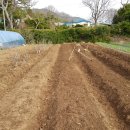 부산농장 이미지