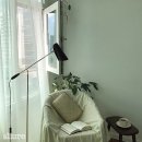 스타 B&P 이미지