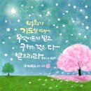 동광로22길 7 이미지