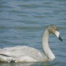 외동배수펌프장 이미지