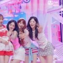 카라 - 부천시 원미구 석천로178번길 7 | 카라